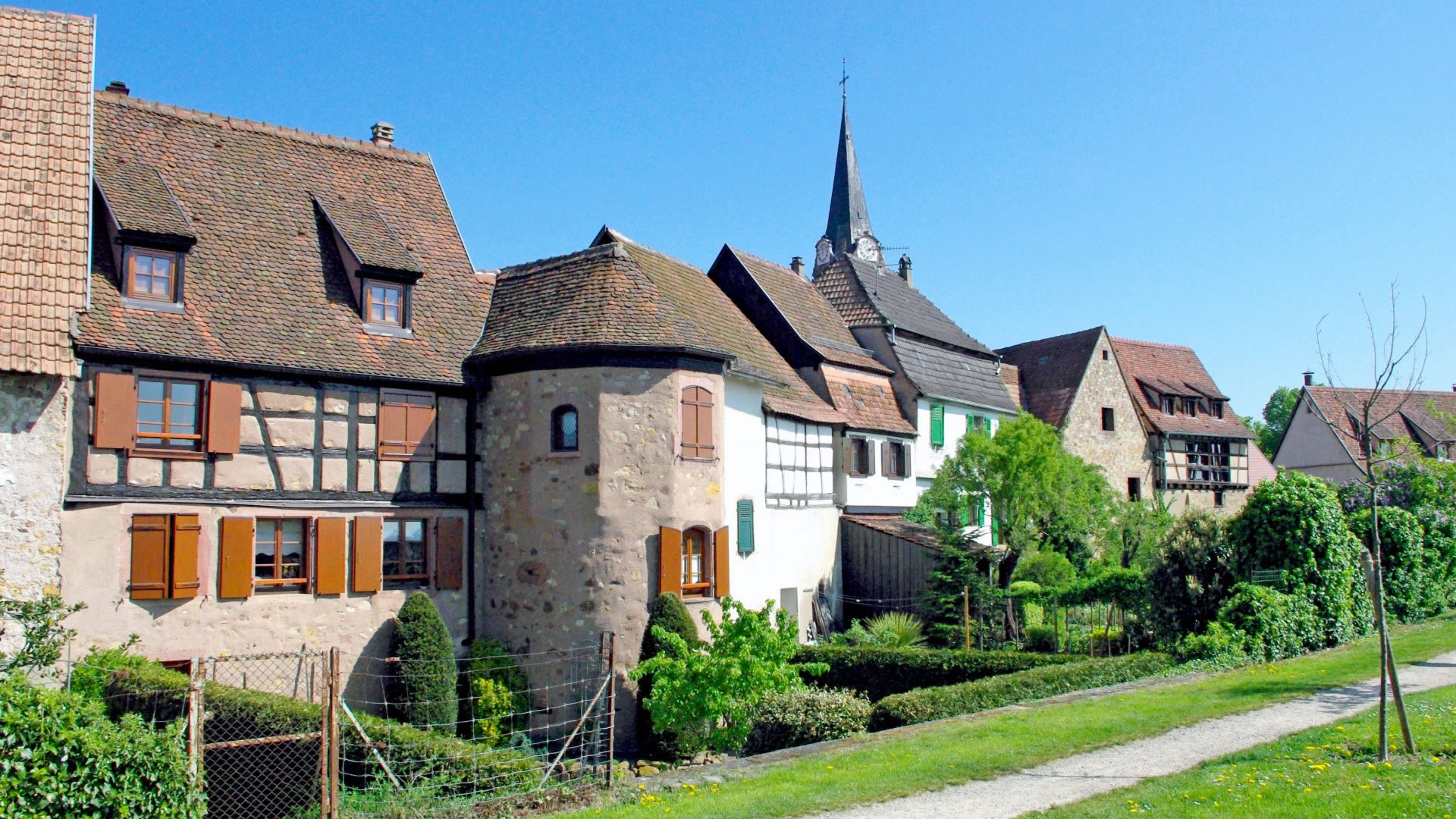 Les remparts de Bergheim